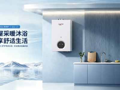 省气的冷凝式壁挂炉哪个品牌值得信赖？